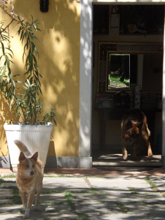 Villa Mirano Bed & Breakfast Piossasco Exterior foto